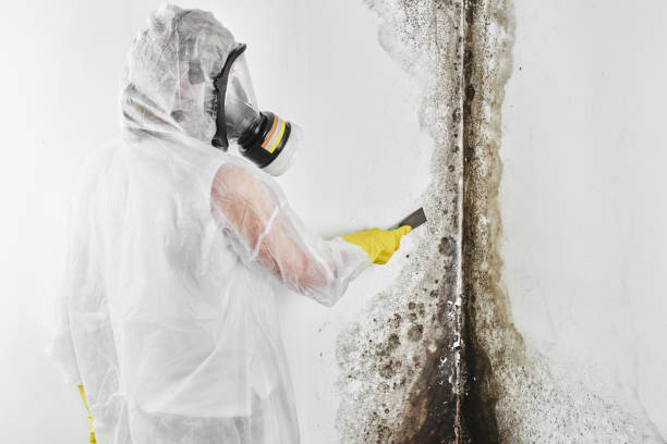 Best Certified Mold Removal  in Rockfish, NC