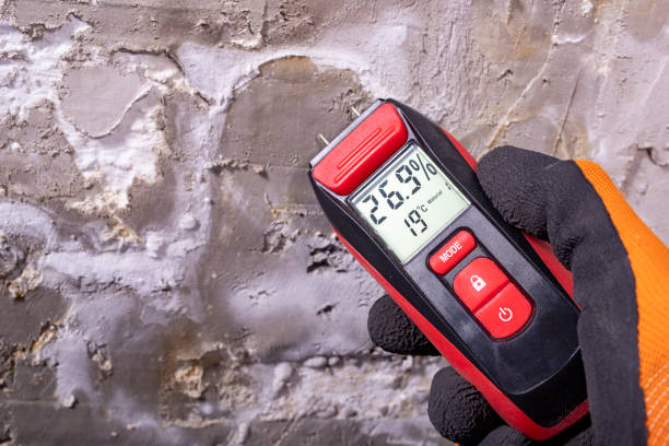 Best Mold Removal Company Near Me  in Rockfish, NC