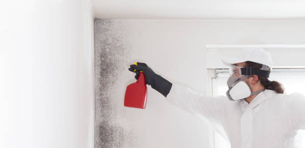 Best Emergency Mold Removal  in Rockfish, NC