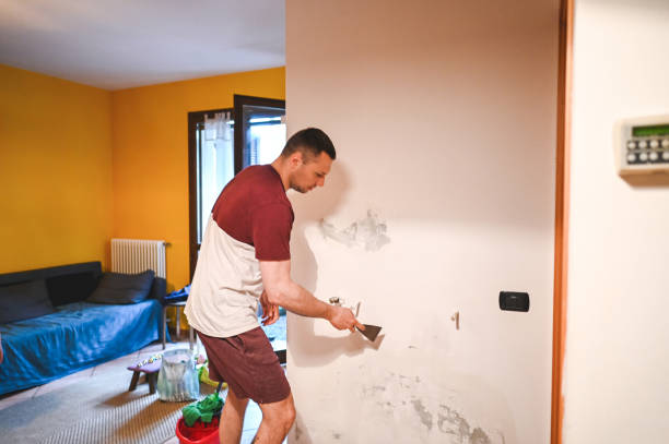 Best Professional Mold Removal  in Rockfish, NC